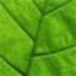 Meet your Posher, Kent